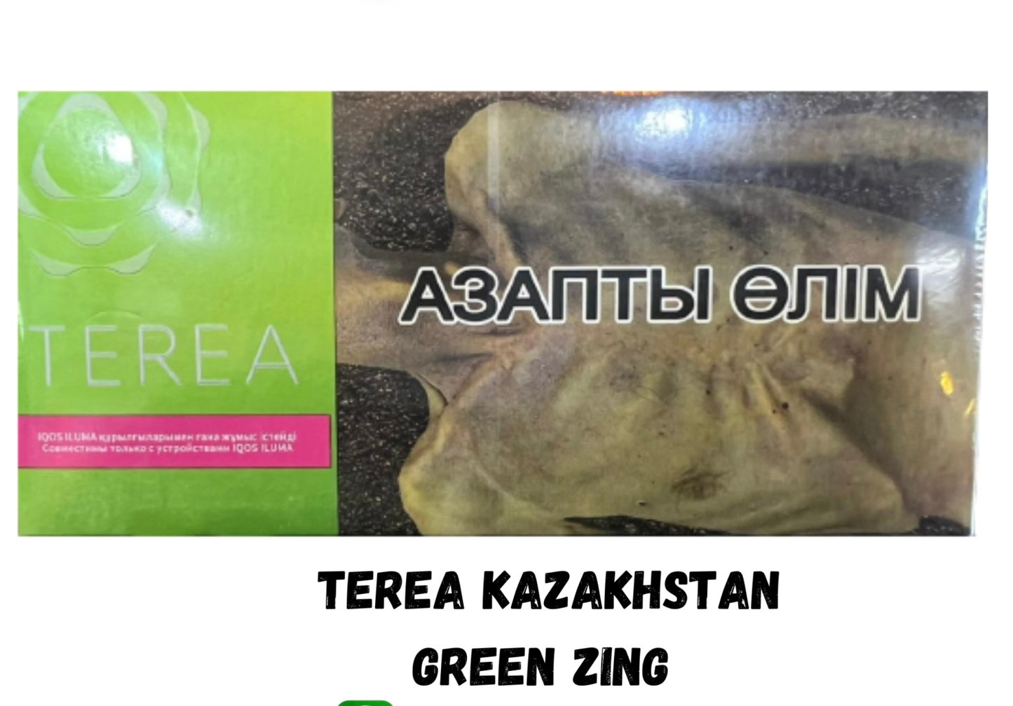 Terea Kazakhstan
