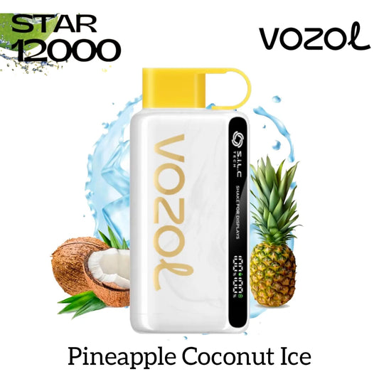 Vozol 12000 puffs disposable vape