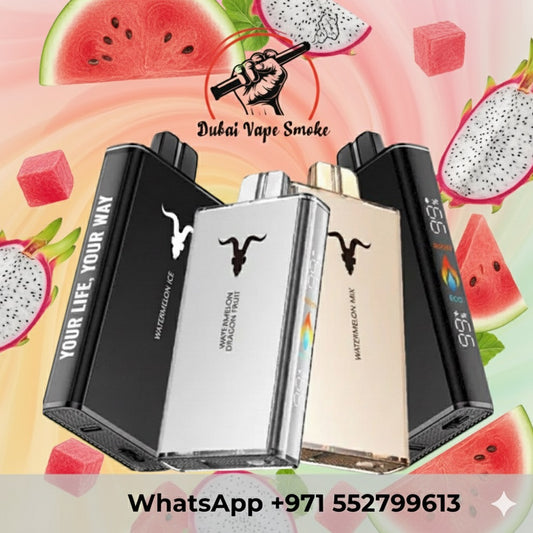 Ignite V250 Disposable Vape 25000 Puffs Rechargeable in Dubai UAE