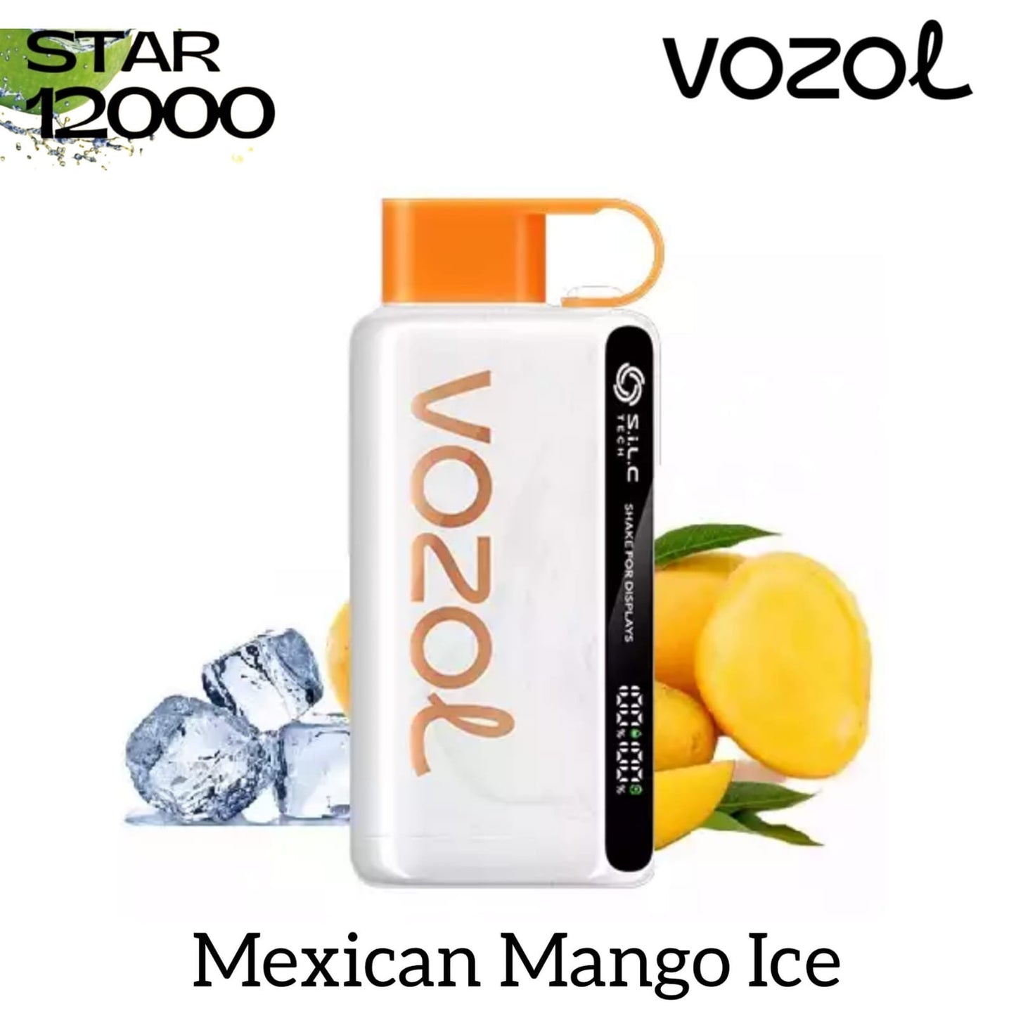 Vozol 12000 puffs disposable vape