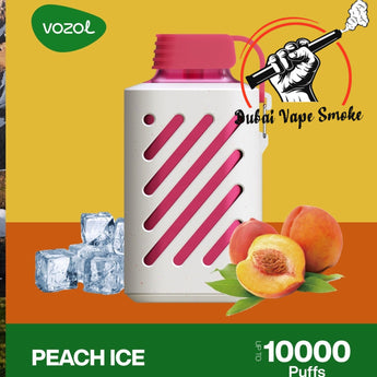 Vozol 10000 puffs disposable vape