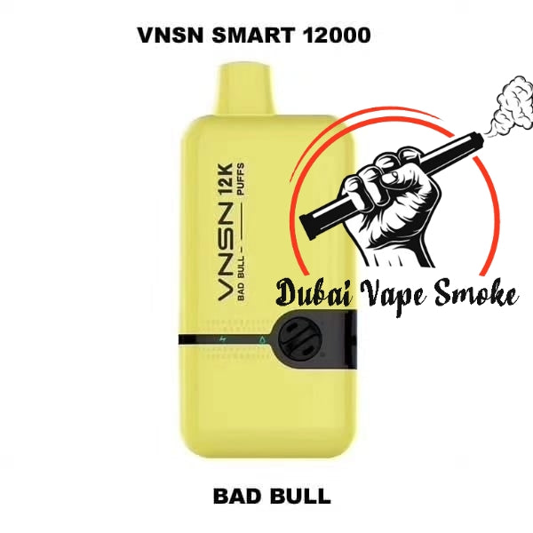 Best VANS smart 12000 puffs disposable vape