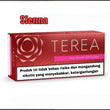 Terea Indonesia version