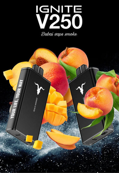 Ignite v25 disposable 25000 puffs vape in Dubai vape smoke