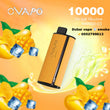 OVAPO 10000 Puffs Disposable vape