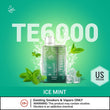 Elfber TE 6000 puffs disposable vape