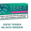 Terea Indonesia version