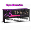 Terea Indonesia version