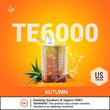 Elfber TE 6000 puffs disposable vape