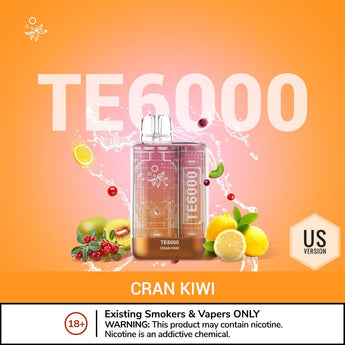 Elfber TE 6000 puffs disposable vape