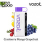 Vozol 12000 puffs disposable vape