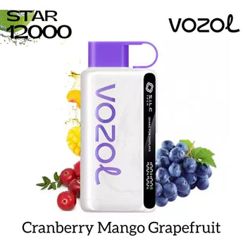 Vozol 12000 puffs disposable vape