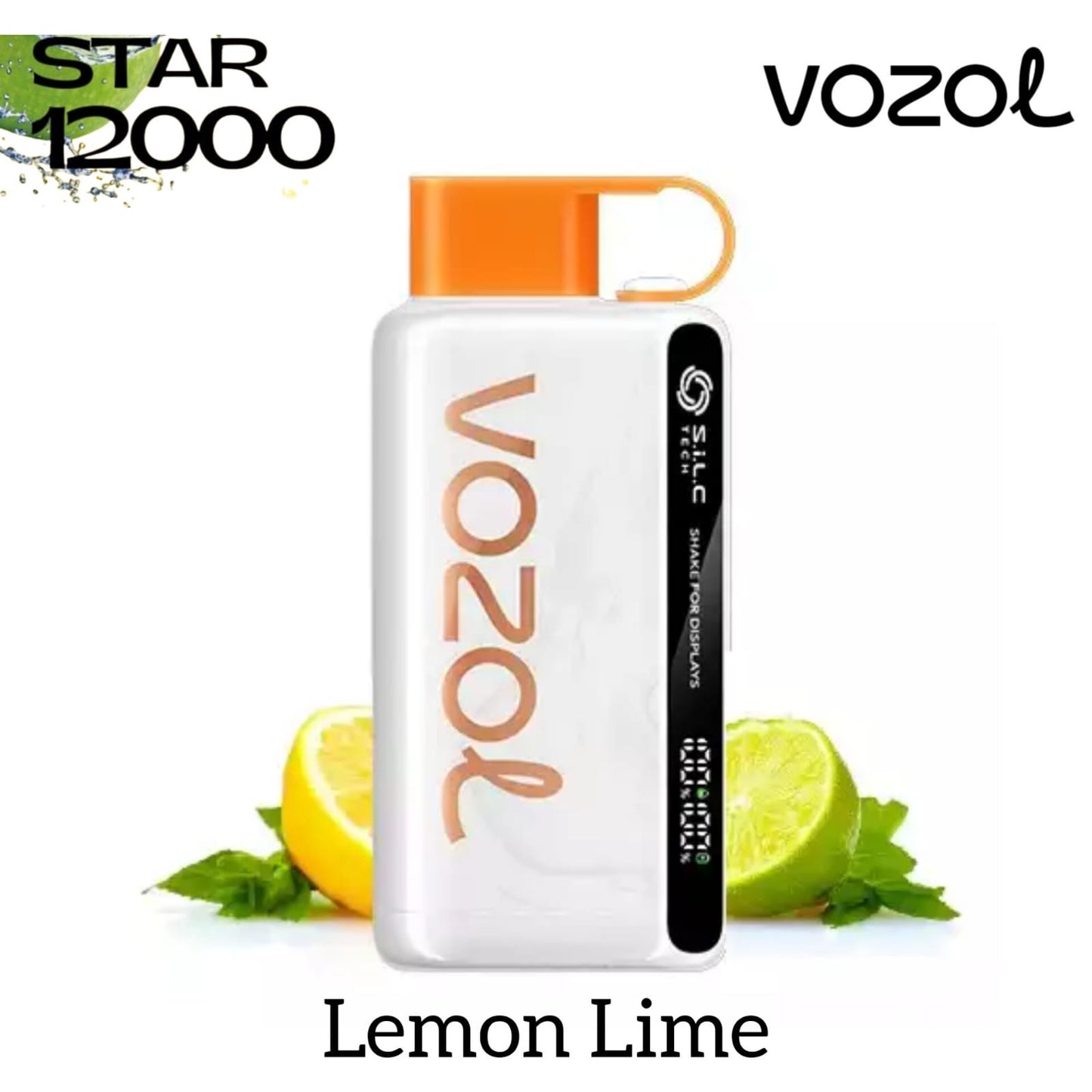 Vozol 12000 puffs disposable vape