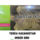 Terea Kazakhstan