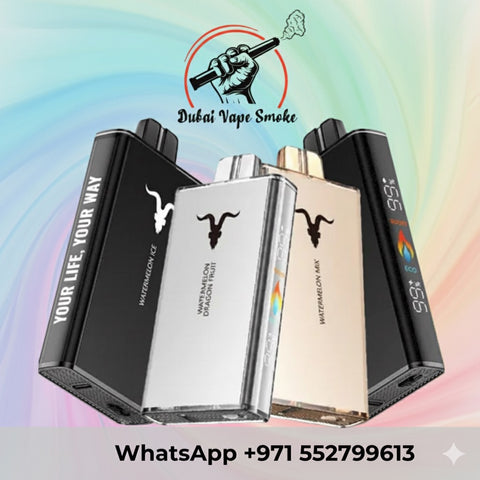 Ignite V250 Disposable Vape 25000 Puffs Rechargeable in Dubai UAE