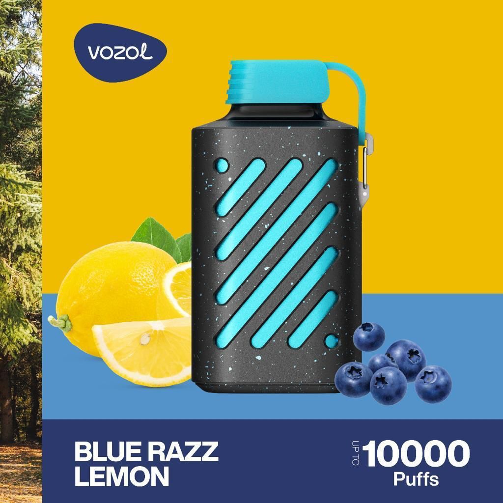 Vozol 10000 puffs disposable vape