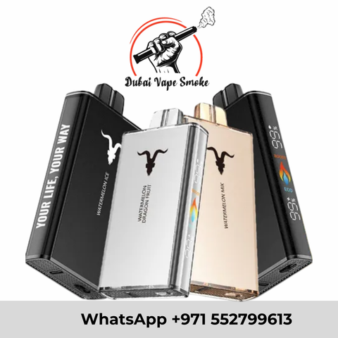 Ignite V250 Disposable Vape 25000 Puffs Rechargeable in Dubai UAE