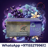 TEREA Purple Wave for IQOS ILUMA