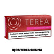 IQOS TEREA FROME INDONESIAN