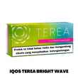 IQOS TEREA FROME INDONESIAN