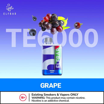 Elf bar TE 6000 Puffs Disposable Vape best price in dubai