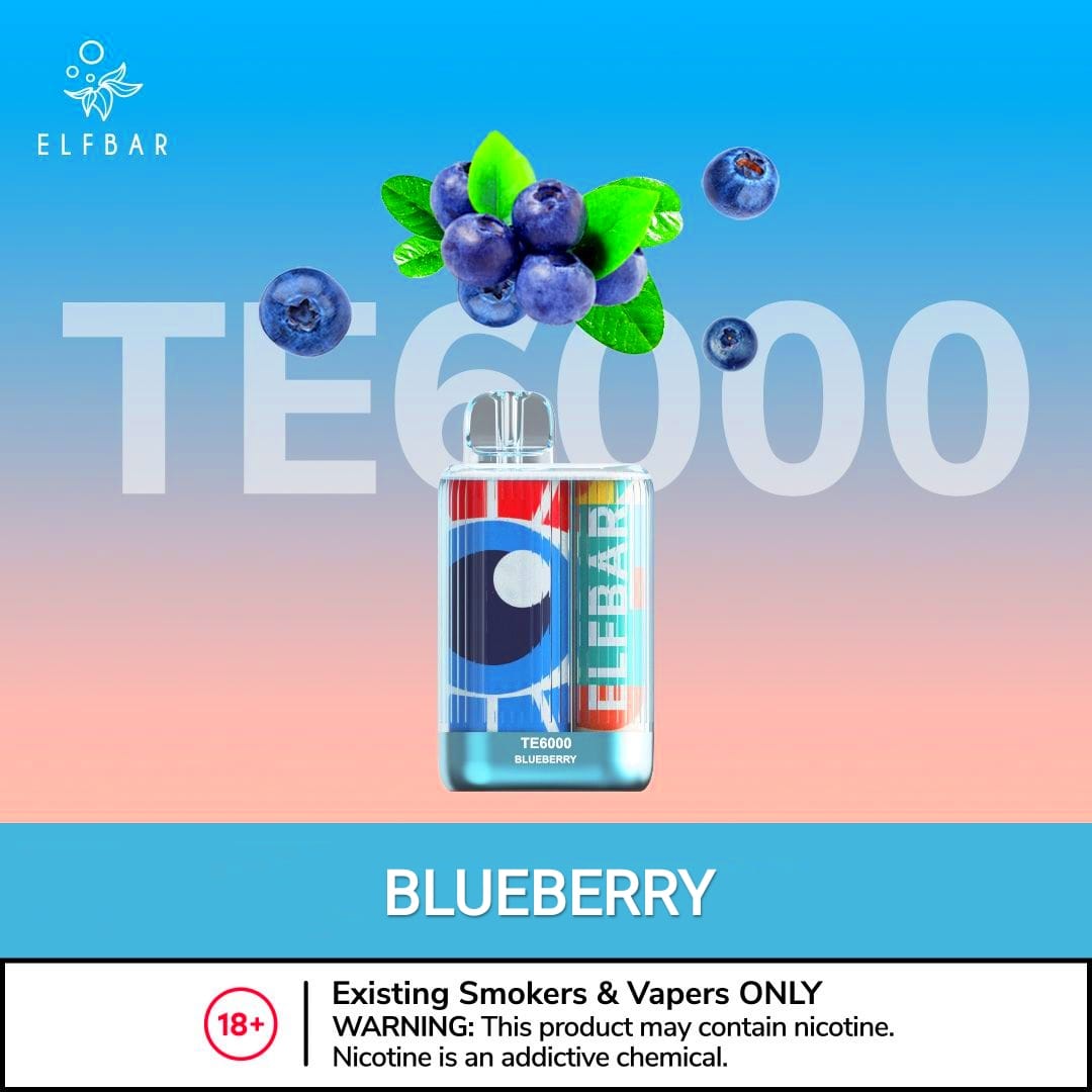 Elf bar TE 6000 Puffs Disposable Vape best price in dubai